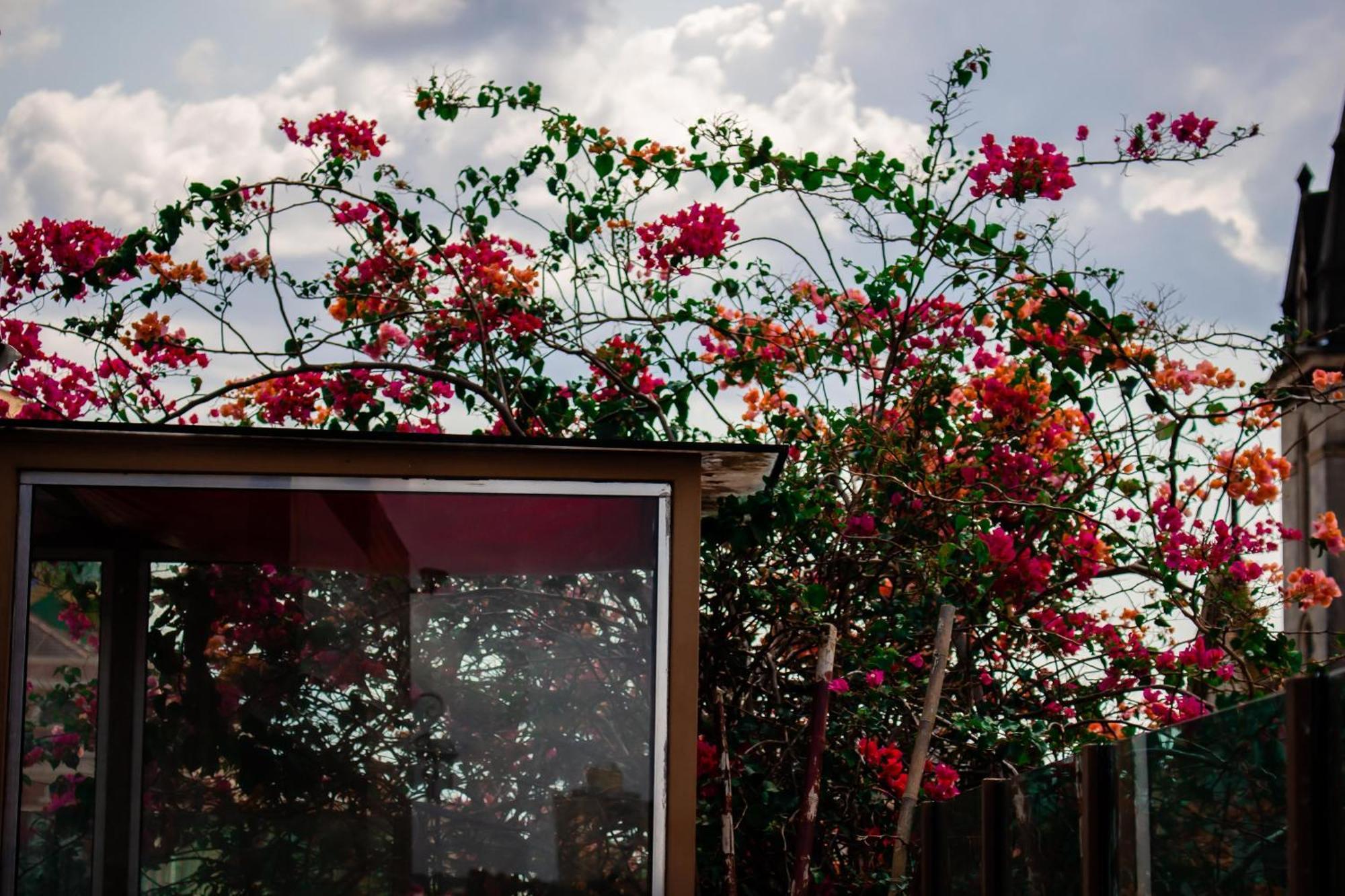 Boutique Hotel Casa Teatro Manaus Kültér fotó